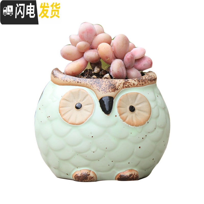 三维工匠陶瓷特小号多肉植物多色套装控型迷你多肉拇指肉肉花盆创意 随机2个9.6元 中小花盆容器