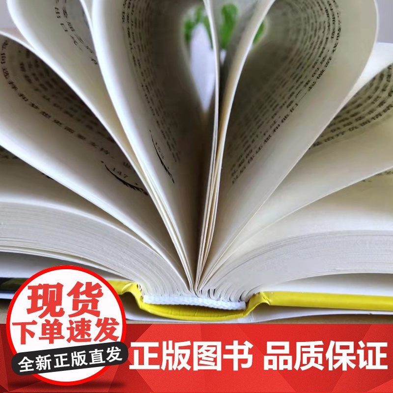 精装家风是最好的教育好家风就有好家教家庭教育育儿书籍家训家教书籍 好父母家 田树涛 内蒙古人民出版社 正版书籍高清大图