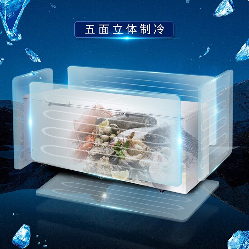 海尔冰柜大容量 零下38度低温冰柜 商用单温大冷柜 716升《深冷速冻-38℃~10℃六档可调》高清大图