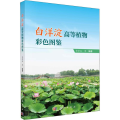 白洋淀高等植物彩色图鉴