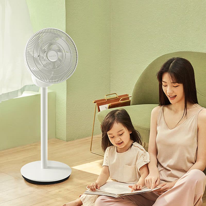 科西R6家用电风扇空气循环扇办公室落地(立式)桌面低音低噪直流变频遥控负离子图片