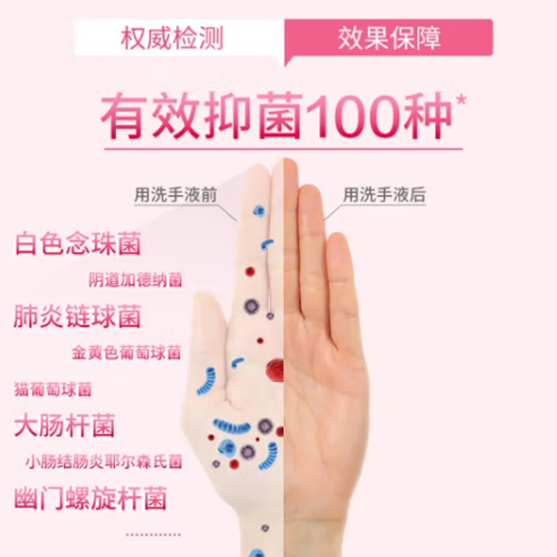 滴露Dettol健康抑菌洗手液滋润倍护500g 1瓶