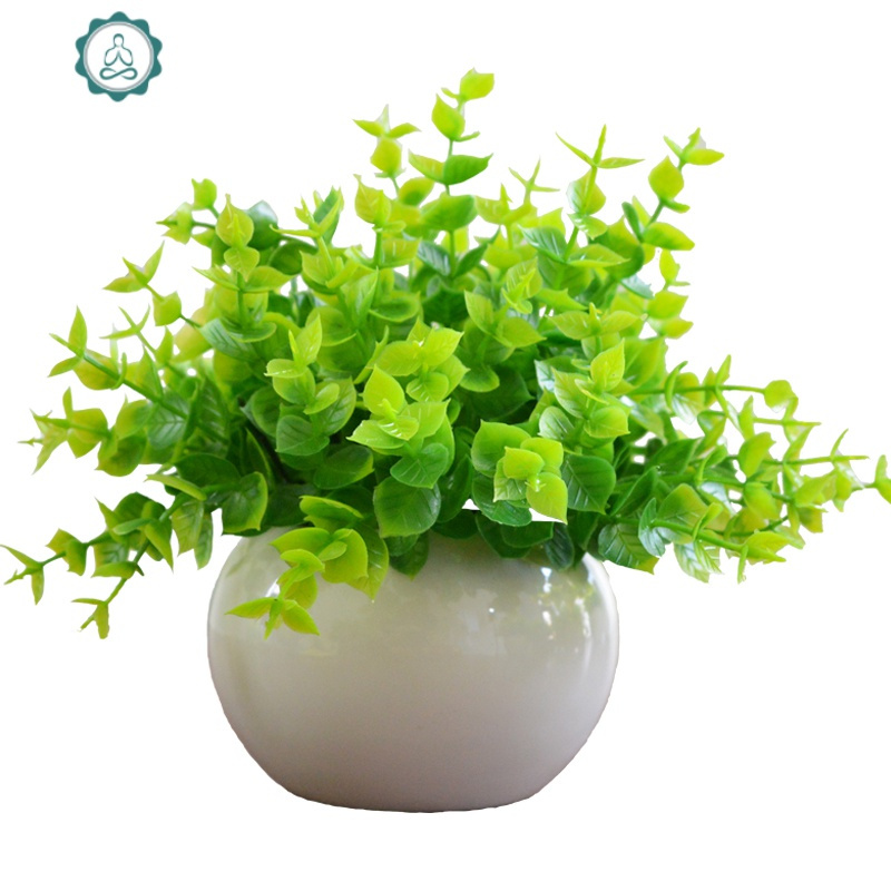 仿真植物小盆栽景室内家居客厅装饰假绿植塑料假花米兰茶几摆设件 封后 米兰1号+黑瓷盆