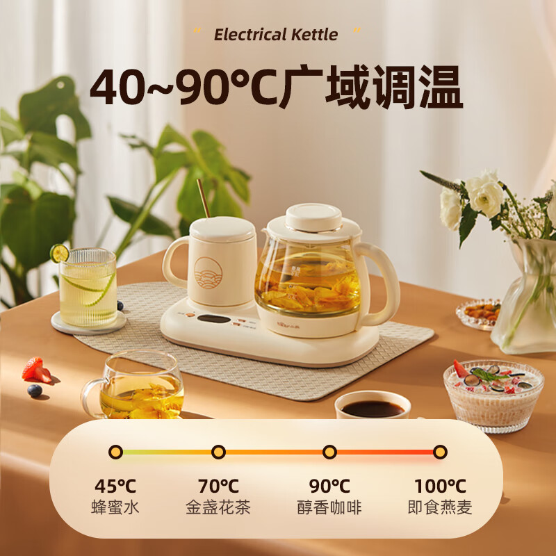 小熊(Bear)迷你养生壶办公室烧水壶电水壶煮茶壶 保温杯垫多功能花茶壶煮水壶0.8升 YSH-D08D3高清大图