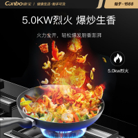 康宝(canbo)JJZT-C1集成灶 烟灶储一体灶 家用侧吸式抽油烟机燃气灶 天然气