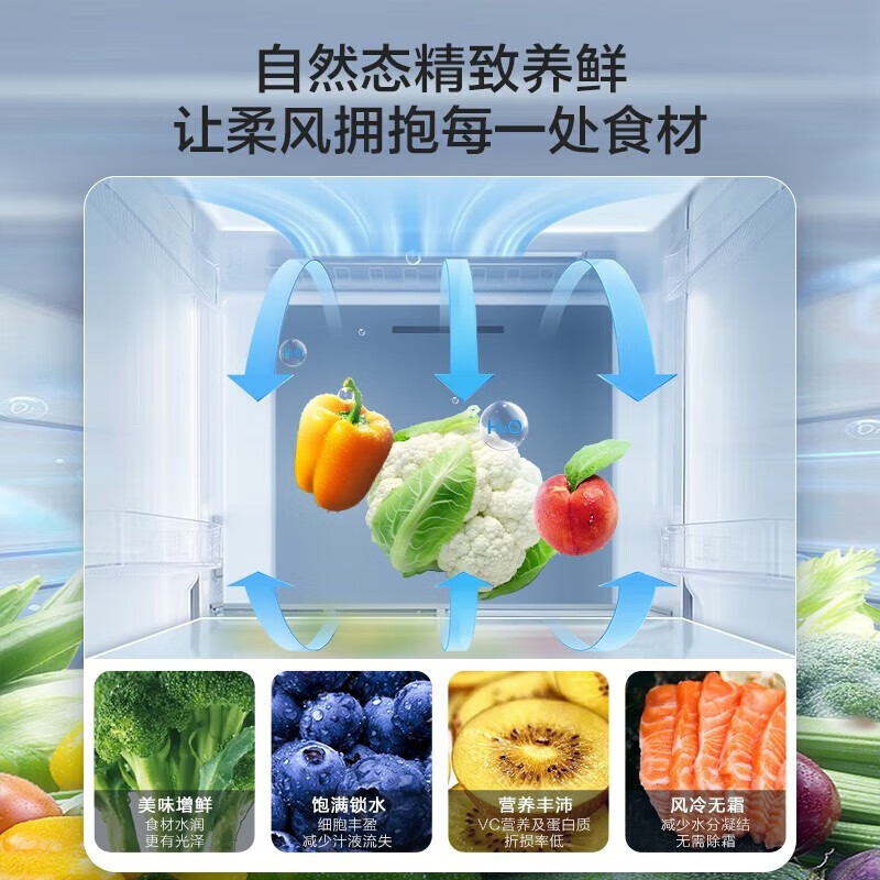 容声(Ronshen)对开门冰箱605升大容量一级能效风冷无霜CCA离子除菌净味 BCD-605WD11HP