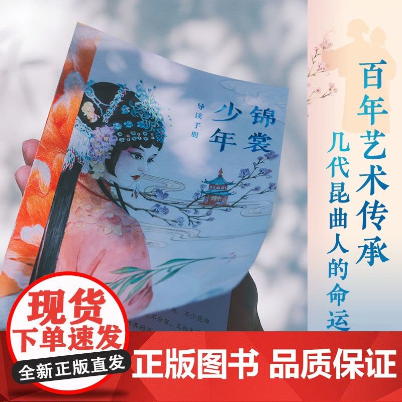 正版锦裳少年王璐琪接力出版社以昆曲作为创作题材的小说中国传统文化青少年读懂昆曲10-14岁儿童文学小学生三四五六年级课外图片