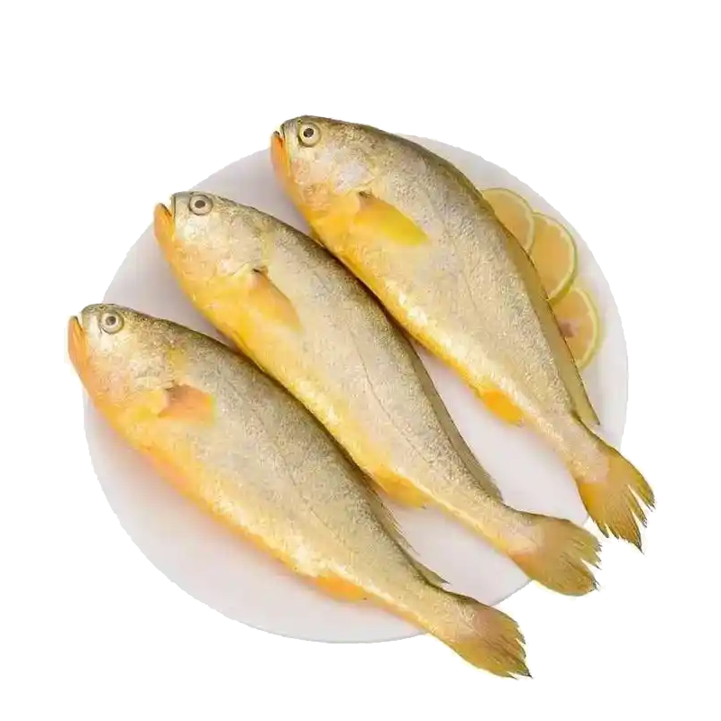 哈铁亿农 黄花鱼 500g/条高清大图