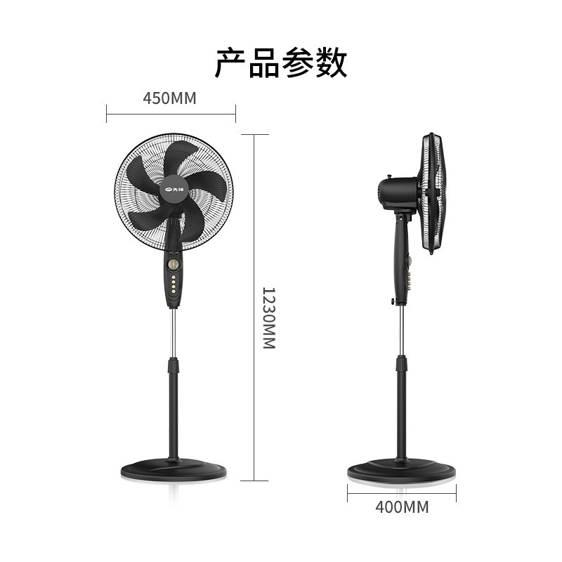 先锋 (singfun)电风扇宿舍风扇落地风扇家用定时五叶落地扇 FS40-21B高清大图