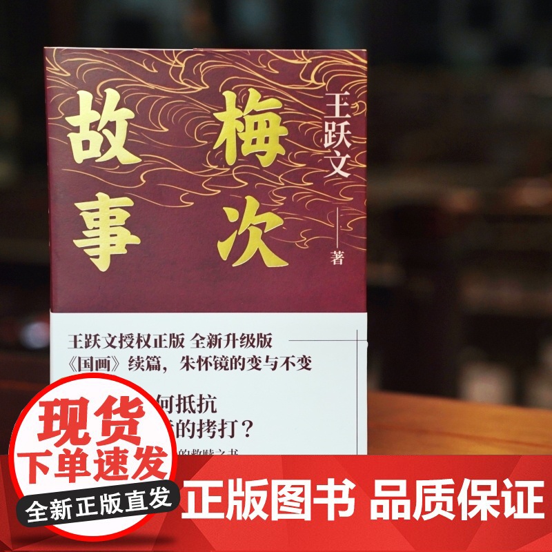 梅次故事(写给正在寻找出路年轻人的自救之书!) 王跃文 湖南文艺出版社 正版书籍高清大图