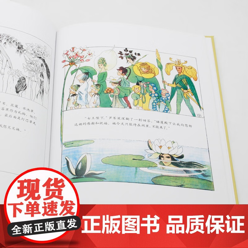[央视网]小孩子大自然系列 仲夏节花会 世界经典绘本卡通动漫图画书正版 3-6岁(瑞典)爱莎 贝斯蔻 北京联合出版公司