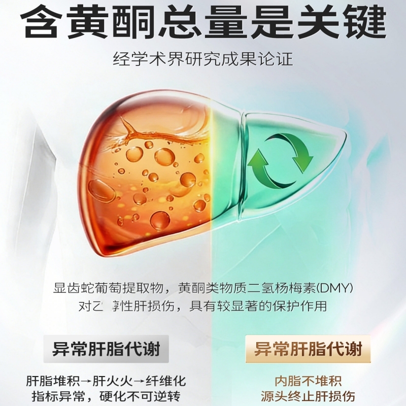 (新包装-新日期)60粒/盒高含量总黄酮成人江中牌 肝纯片 体验装 官方旗舰店正品护肝片熬夜加班应酬喝酒男女B高清大图