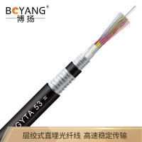 博扬（BOYANG）BY-GYTA53-48B1.3重铠地埋48芯单模室外光缆GYTA53层绞式直埋光纤2000米/轴办