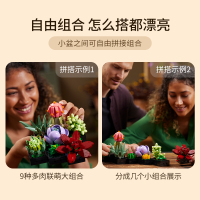 LEGO乐高10309多肉植物拼装积木玩具益智收藏礼物