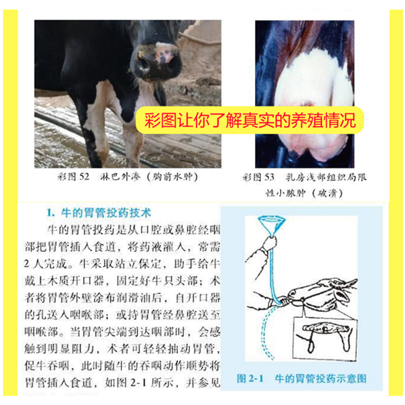 [正版]牛羊常见病诊治实用技术 视频升级版 养牛书籍大全牛病全书兽医牛饲料配方肉牛养殖技术书繁殖诊断及母牛饲养管理手册