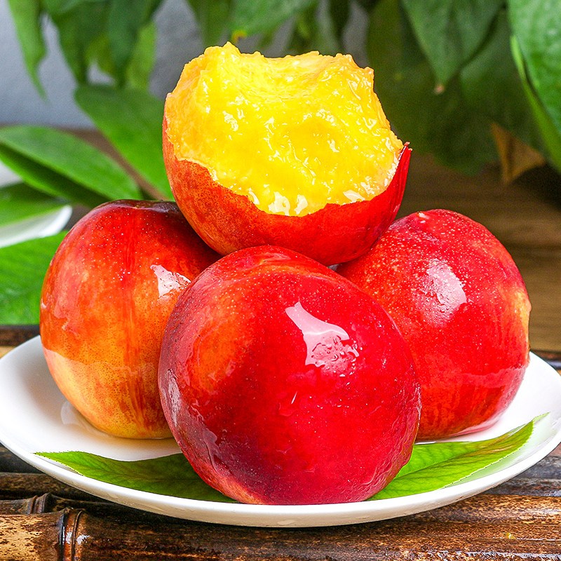 西沛桃李类报价_参数_图片_视频_怎么样_问答-苏宁易购