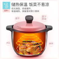 苏泊尔(SUPOR)砂锅炖锅陶瓷煲汤炖锅中药煲耐热新陶养生煲.彩享系列明火专用 TB45G1 送硅胶汤勺,竹垫,隔热手套