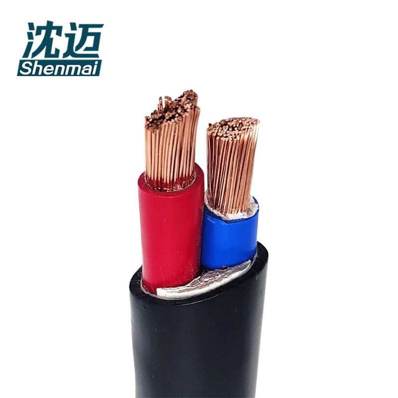 沈迈 铜芯软电缆 ZR-YJVR-0.6/1KV-2*4mm² /米高清大图