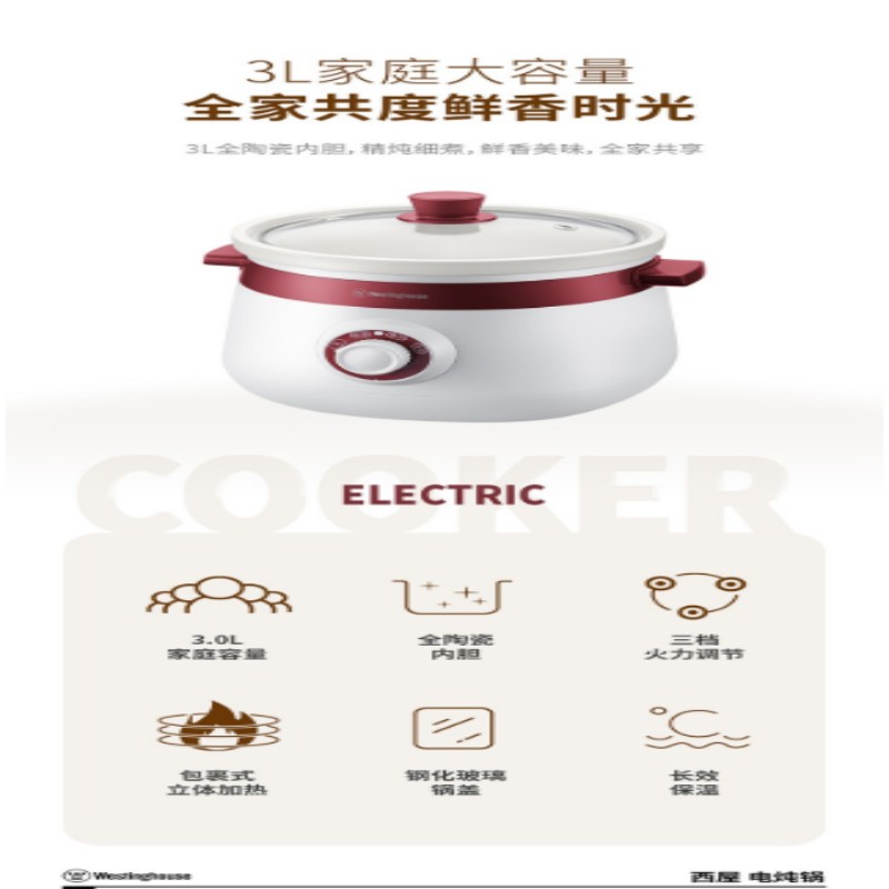 西屋(WESTINGHOUSE)WDG03L21 米白色 3L高清大图