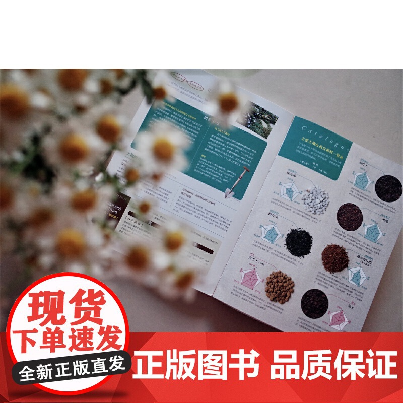 专家写给初学者的园艺技巧 正版书籍高清大图
