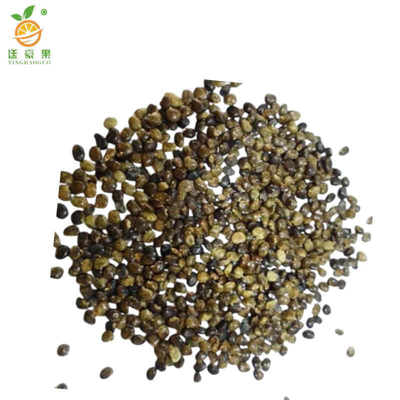 廷豪果 灌木草组合草籽 绿化草坪种子 净籽 /千克高清大图