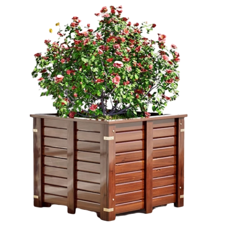 豫汉迎花箱高清大图