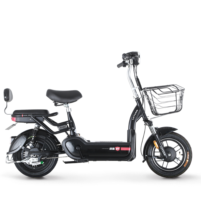 绿源新国标电动车小型成人电动自行车fbb2男女双人助力代步电瓶车