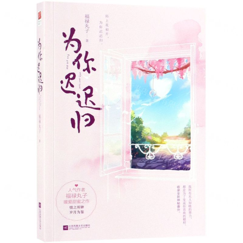 【N】为你迟迟归-9787559433947
