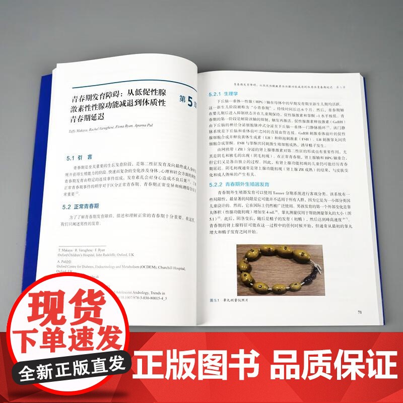 儿童和青少年男科学 主译 谢远志 沙艳伟 9787523213407 世界图书西安 男性生殖系统发育过程中的遗传学基础与高清大图