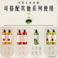 发之食谱冷萃茶柚洗发水控油蓬松保湿柔顺洗头膏530ML 1件装