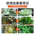 免稀释营养液植物通用型肥料室内盆栽发财树绿萝养花喷洒发黄烂根