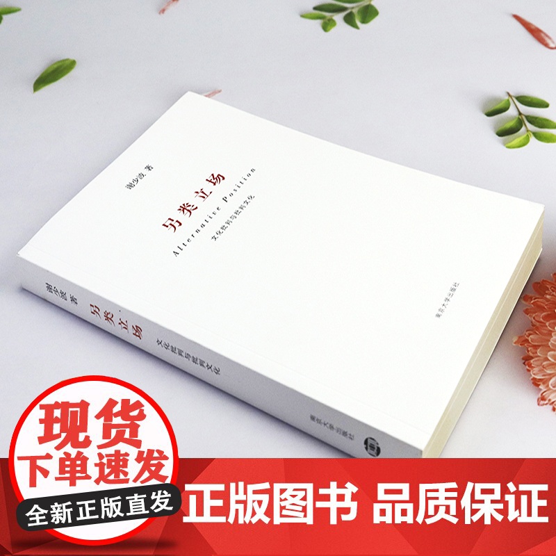 [4本39]另类立场:文化批判与批判文化 谢少波著文化研究访谈录现代性反思书籍高清大图