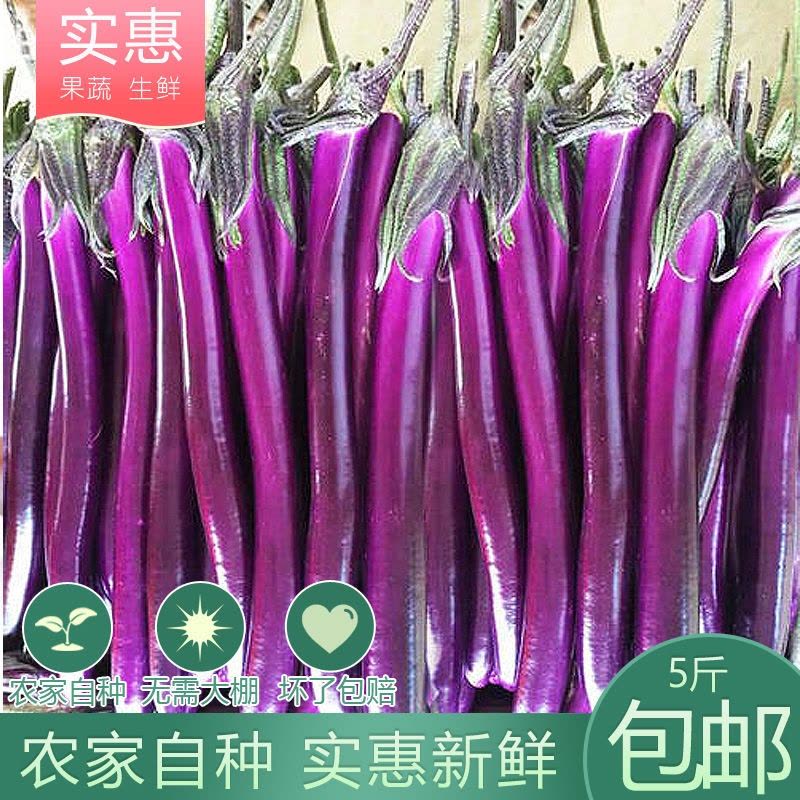 茄瓜 茄瓜图片- 京东