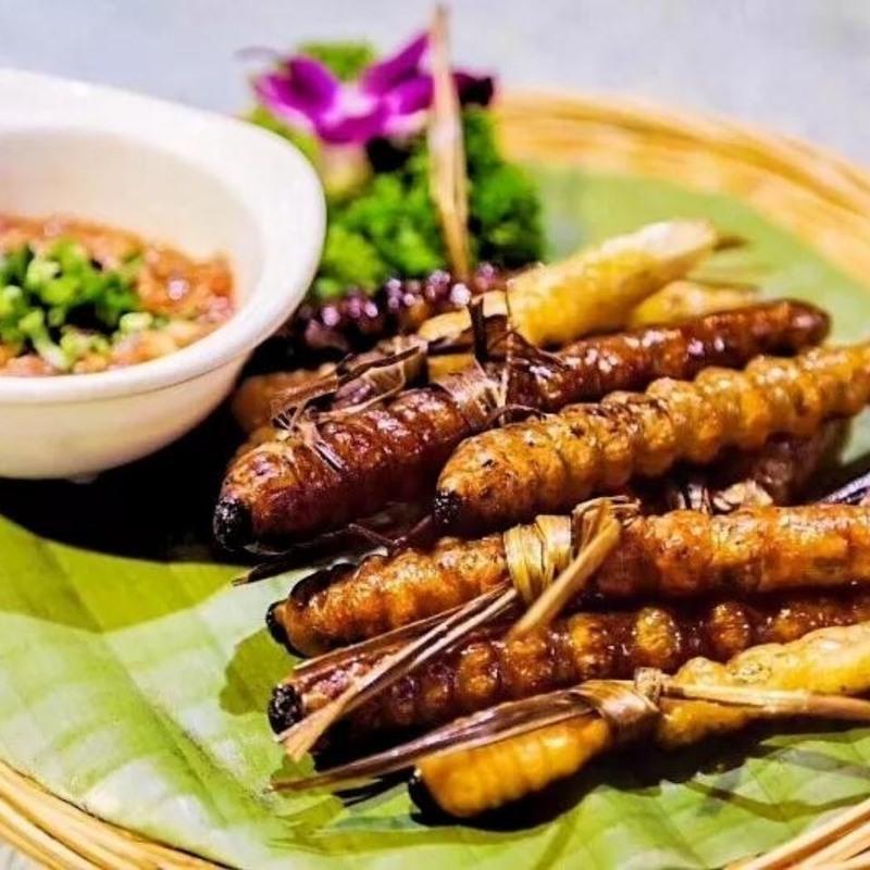 贵州野生活体鸟用柴虫木虫四喜鸟画眉鸟打斗比赛专用提性壮膘肥体试吃