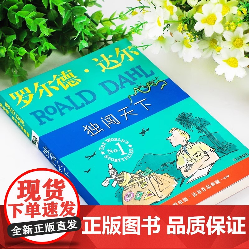 独闯天下 罗尔德达尔作品典藏 6-9-12岁儿童文学经典名著读物国际大奖小说 四五六年级小学生课外书外国儿童文学小说故事高清大图