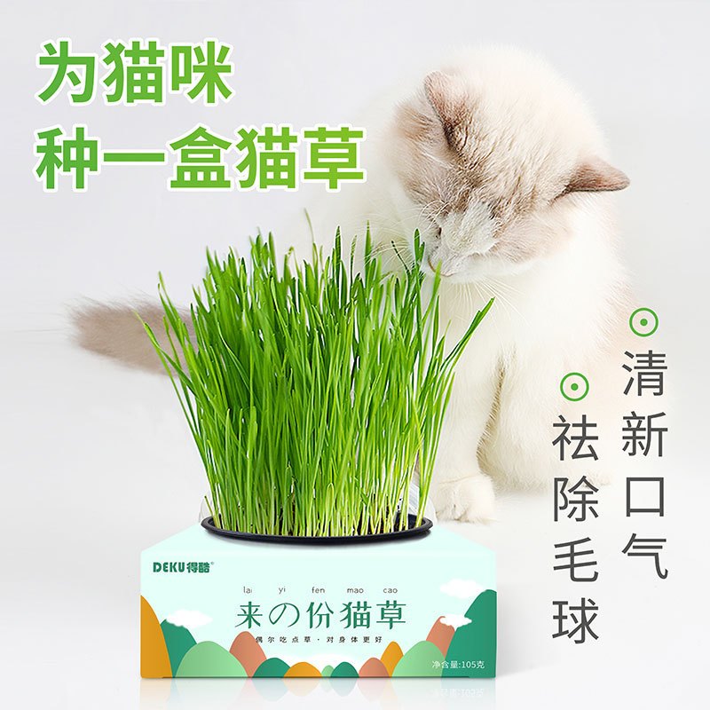 得酷(DEKU) 种植猫草套装 猫草种子 猫零食 猫草种籽 种植套装 猫咪用品