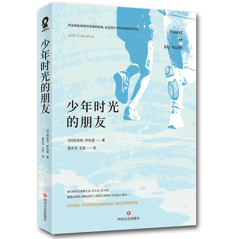 醉染图书少年时光的朋友9787541151248高清大图