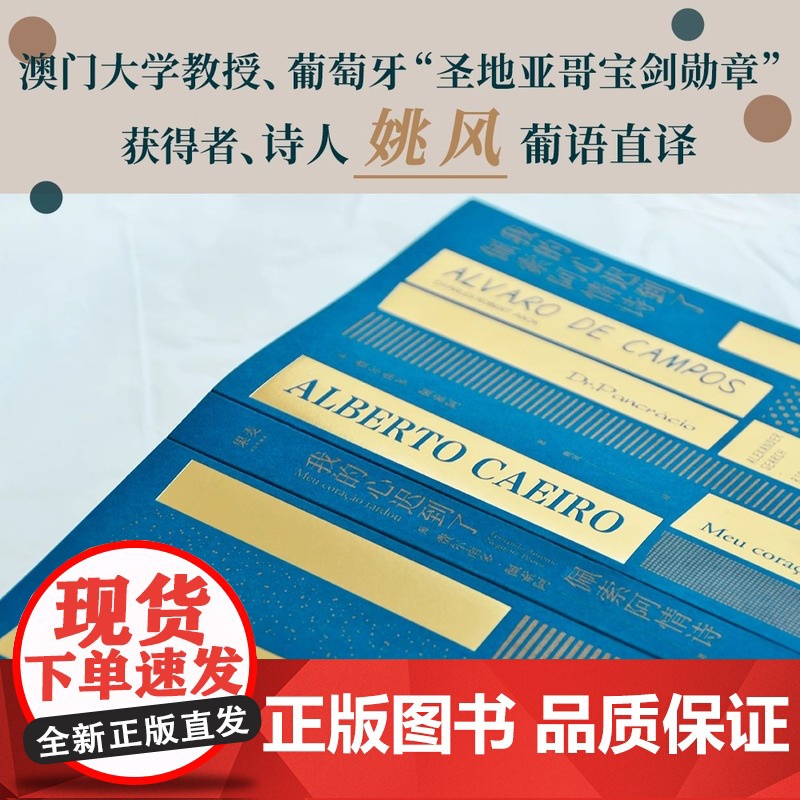 我的心迟到了:佩索阿情诗 佩索阿 姚风葡语直译 小嘉 爱情诗歌 情诗 情书 民谣 外国文学 北岛 果麦出品天津人民出版社高清大图