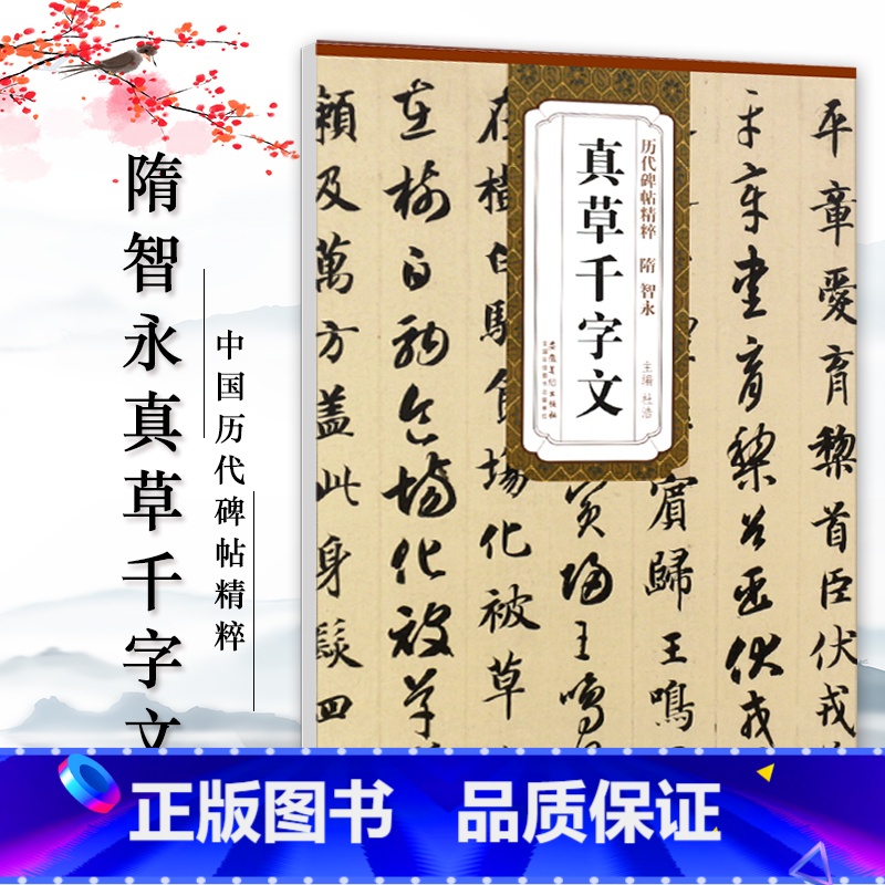 【正版】隋智永真草千字文历代碑帖精粹 简体旁注杜浩草书碑帖毛笔字帖隋代名家书法临摹练字帖安徽美术出版社