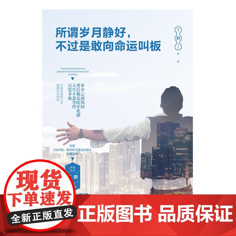 所谓岁月静好,不过是敢向命运叫板 丁鹏 天津人民出版社 正版书籍高清大图