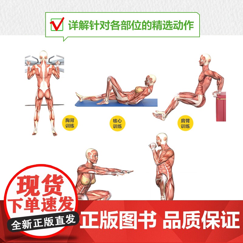 无器械训练解剖挂图 预计发货07.28高清大图