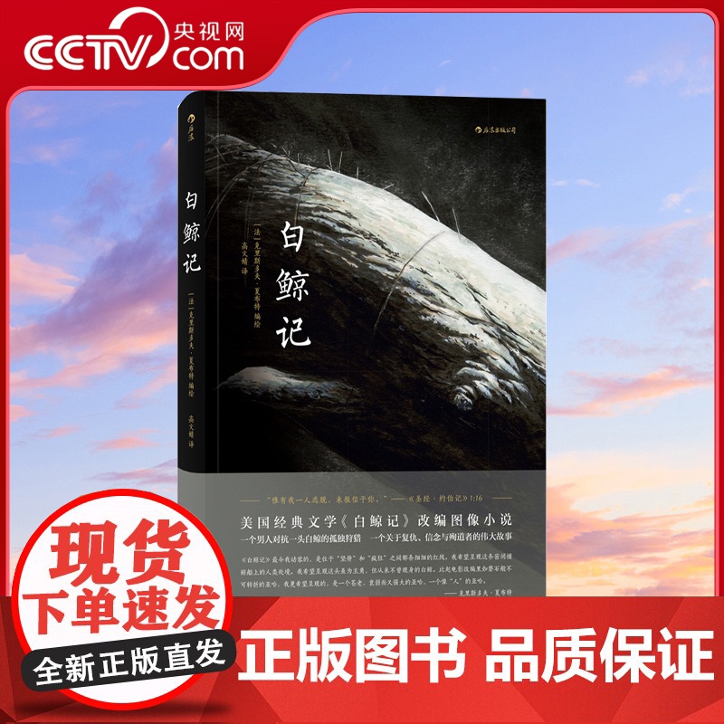 【央视网】白鲸记 一个男人对抗一头白鲸的孤独狩猎 一个关于复仇 信念与殉道者的伟大故事HL