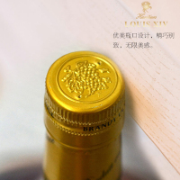 法国进口 路易十四传世XO白兰地(LOUIS XIV) 40度700ml 两瓶礼盒装