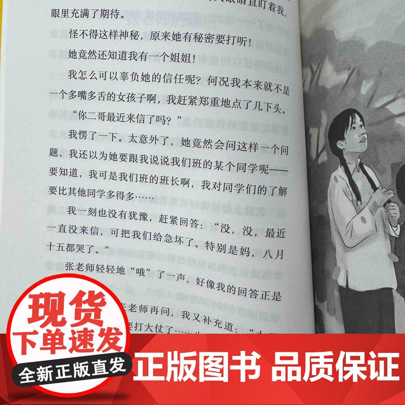 鸭绿江来信 野蔷薇成长系列 独特视角回望动荡岁月 爱国主义教育读本高清大图