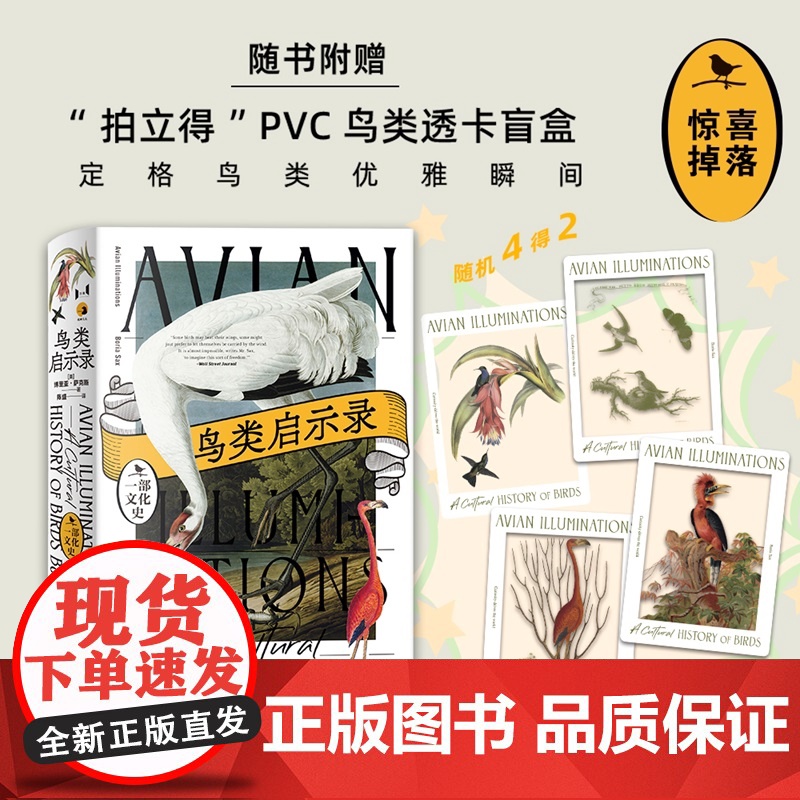 鸟类启示录:一部文化史 博里亚萨克斯著上海教育出版社博物学自然历史读物描摹人鸟之间神秘精神亲密关系高清大图
