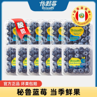 [冠町甄选] 秘鲁进口怡颗莓12盒大果限量版 18-20mm 新鲜酸甜可口蓝莓水果
