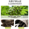 滋源(SEEYOUNG) 无患子致臻滋养洗发水535ml(新旧包装随机发)