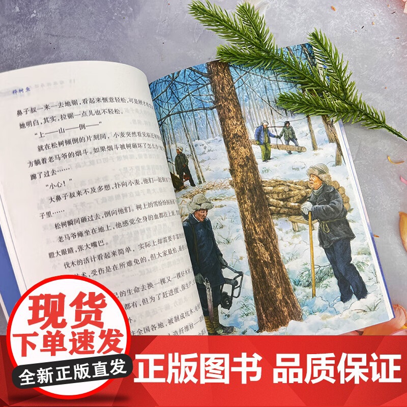 桦树鱼 百班千人三年级阅读书目儿童文学成长励志小说自然故事书必小学生三年级课外书阅读书目高清大图