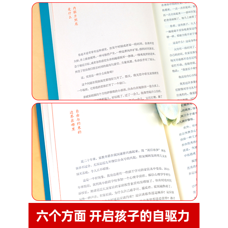 [正版]书籍唤醒孩子内驱力激发儿童心理学教育书籍专注力必注意力训练培养教育孩子的书自驱型成长正面管教父母读懂孩子的心育
