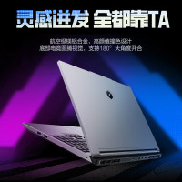 机械革命极光X 潮玩版 酷睿i7HX 游戏本笔记本电脑(i7-14650HX 32G 1T RTX5060 2.5K屏 300Hz 灰)